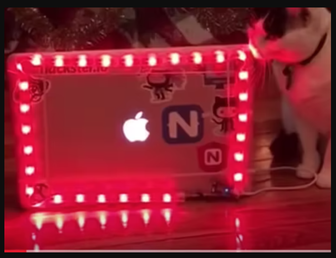 bling laptop