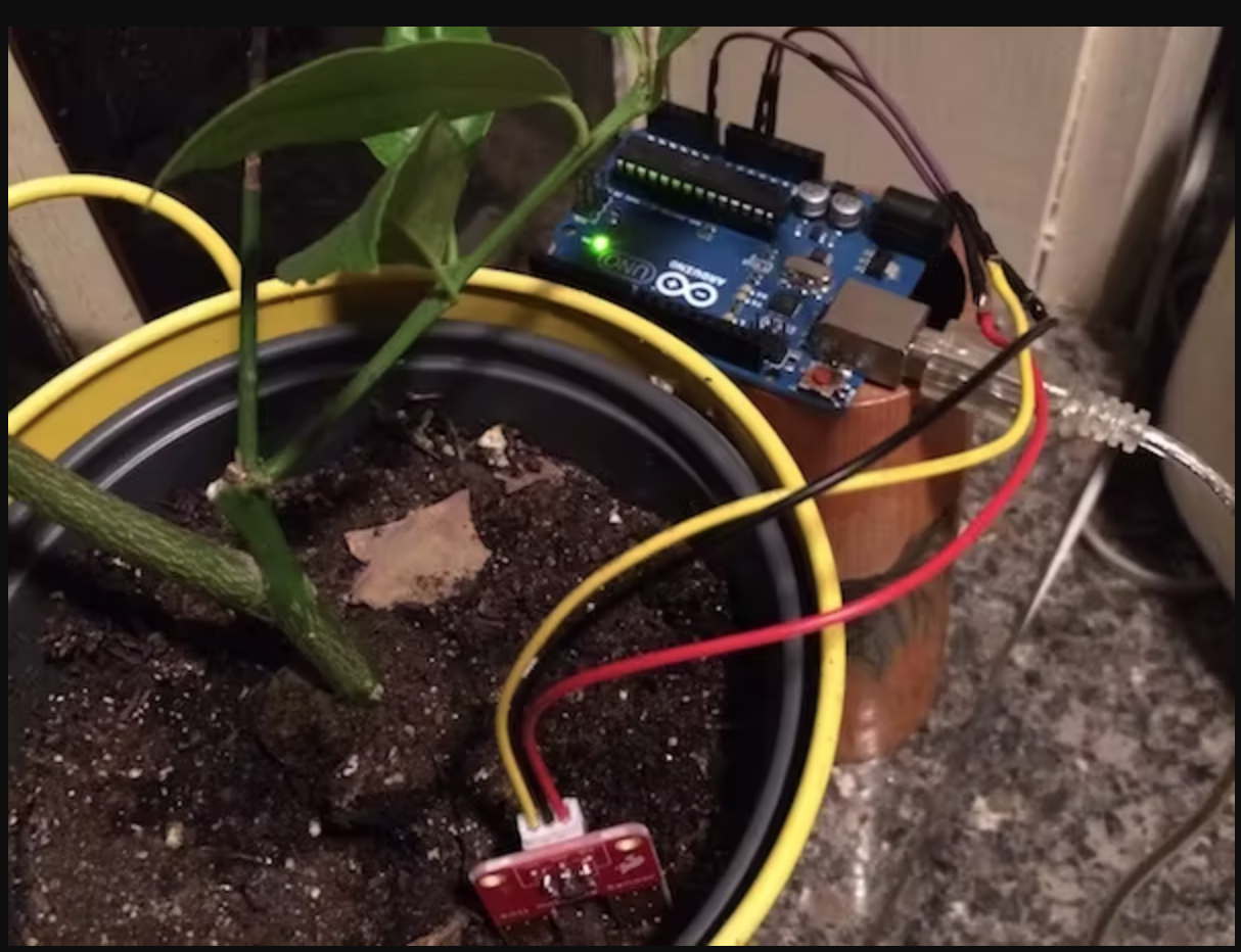 plant moisture sensor